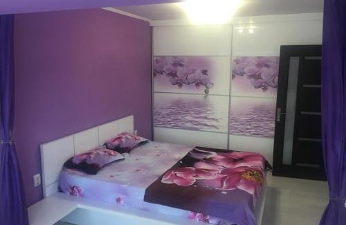 Sector 1 Apartment | Apartament 2 camere