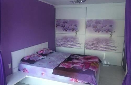Sector 1 Apartment | Apartament 2 camere