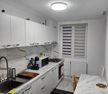 Onesti Apartment | Apartament 2 camere