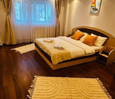 Azuga Apartment | Apartament Azuga