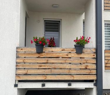 Tirgu Mures Apartment | Apartament Bella