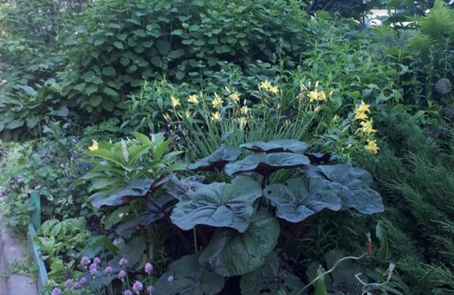 Veliky Novgorod Apartment | Apartament by Kremlin