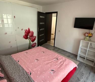 Dragasani Apartment | Apartament cozy