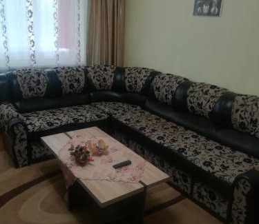 Tirgu Mures Apartment | Apartament Dani