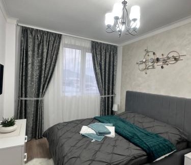 Bistrita Apartment | Apartament Diana