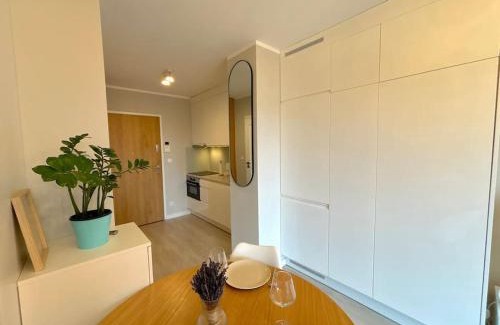 Stare Miasto Apartment | Apartament Halo 3 Check in 24h Privat Parking