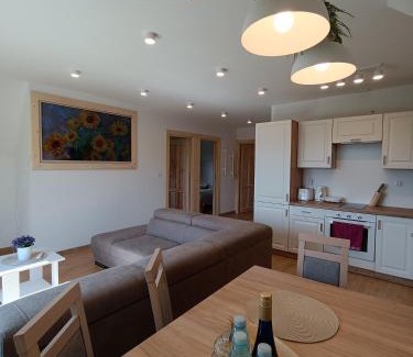 Gliczarow Gorny Apartment | Apartament Kwiat Paproci