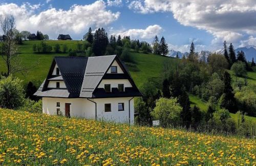 Gliczarow Gorny Apartment | Apartament Kwiat Paproci