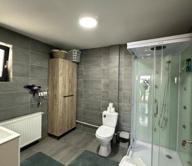 Bistrita Apartment | Apartament la casă