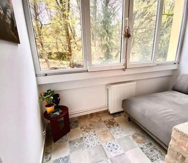 Tirgu Mures Apartment | Apartament langa Universitate UMFST