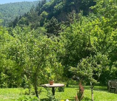 Borjomi Apartment | Apartament LashaGiorgi