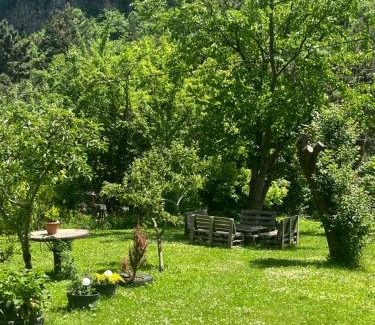 Borjomi Apartment | Apartament LashaGiorgi