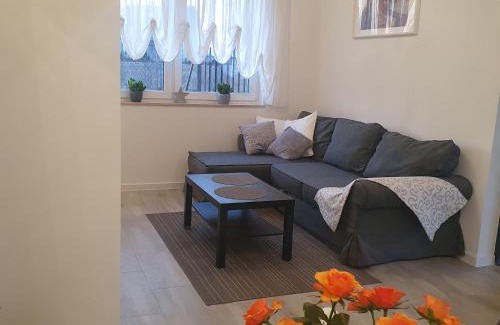 Kudowa Zdroj Apartment | Apartament LEXY