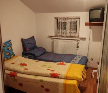 Bacau Apartment | Apartament muncitori