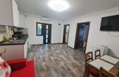 Ploiesti Apartment | Apartament Parc 1A
