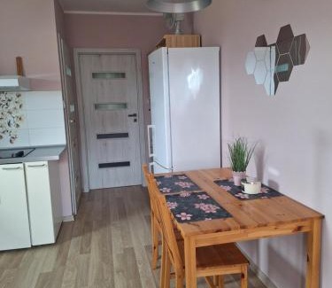 Malbork Apartment | Apartament Platynowy - Malbork