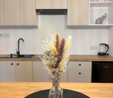 Nowy Targ Apartment | Apartament pod lasem 2