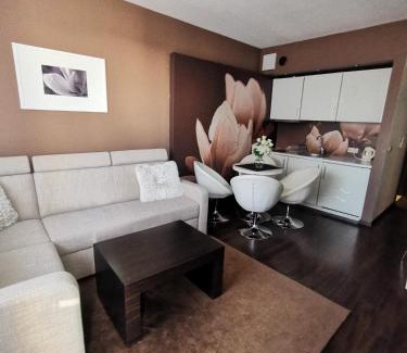 West Pomeranian Voivodeship Apartment | Apartament prywatny salon z aneksem kuchennym i sypialnią w hotelu Diva