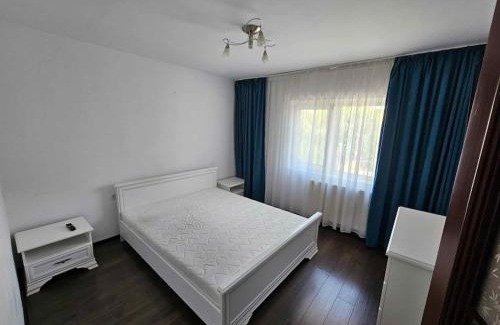Tirgu Jiu Apartment | Apartament Rebeca Central