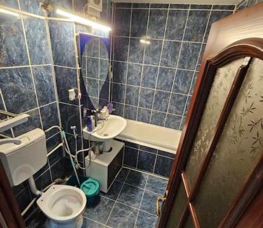 Tirgu Jiu Apartment | Apartament Rebeca Central