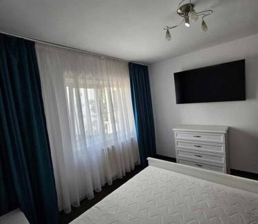 Tirgu Jiu Apartment | Apartament Rebeca Central