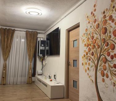 Selimbar Apartment | Apartament RYO