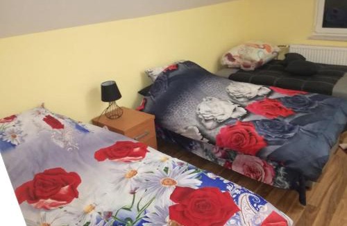 Wygielzow House | Apartament u Wioli