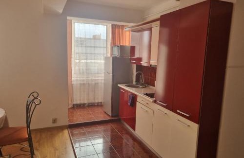 Baia Mare Apartment | Apartament Unirii Belvedere
