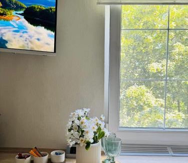 Tirnaveni Apartment | Apartament Victoria