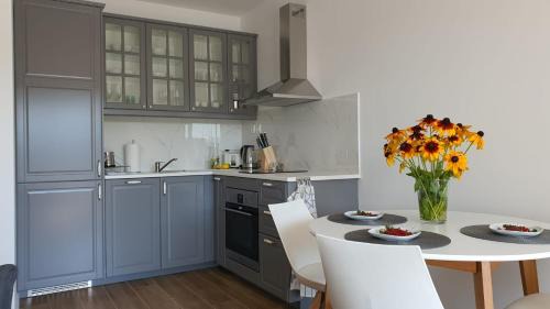 Wilkasy Apartment | APARTAMENT WILKASY II (k. Giżycka)