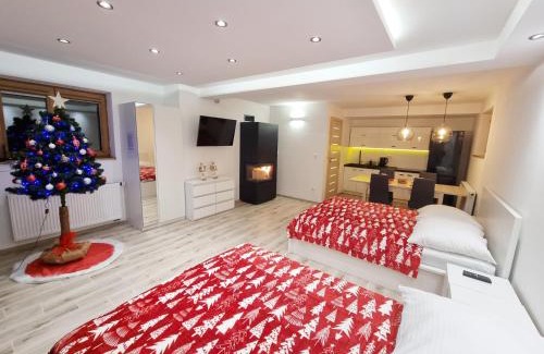 Frydman Apartment | APARTAMENT Z POMOSTEM nad Jeziorem Czorsztyńskim