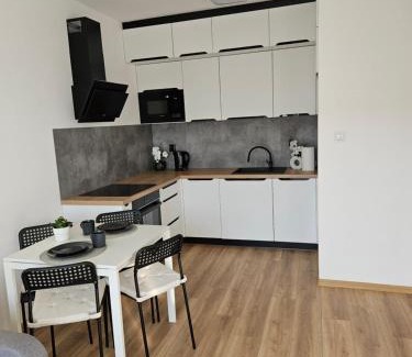 Nowe Miasto Apartment | Apartament z widokiem na jezioro Malta