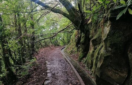 Ribeira Brava Apartment | Apartamento Acolhedor em Ribeira Brava