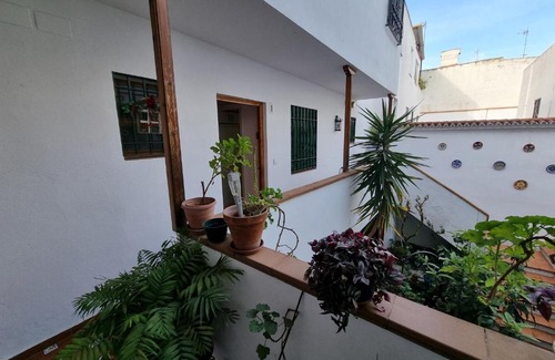 San Basilio Apartment | APARTAMENTO ENTRE PATIOS SAN BASILIO