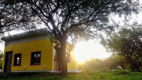 Merlo House | apartamento VINTAGE IVA