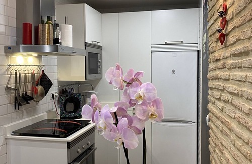 Toledo City Center Apartment | Apartamentos Don Quijote