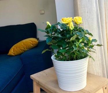 Almeria Centro Apartment | Apartamentos Vida Almería