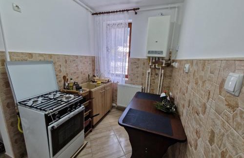 Azuga Apartment | Apartamentul Florilor de Fân
