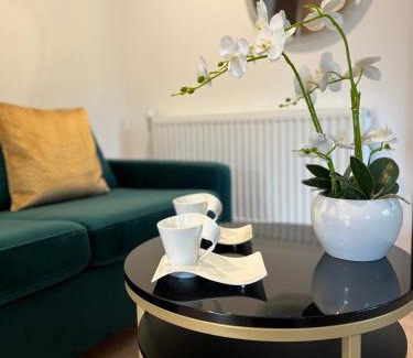 Głuchołazy Apartment | Apartamenty nad Starynką