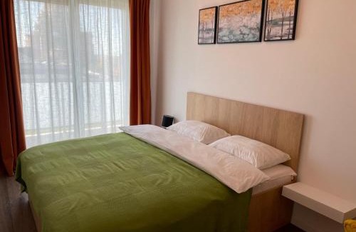 Baia Mare Apartment | Apartcentral