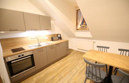 Oberwiesenthal Apartment | Aparthotel Deutscher Kaiser Ferienwohnungen