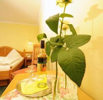 Altenmarkt im Pongau Apartment | Aparthotel Kristall