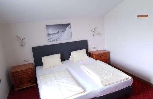Flachau Apartment | Aparthotel Pichler