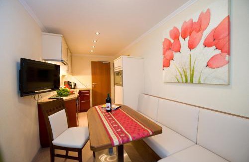 Wagrain House | Aparthotel Steger Wagrain