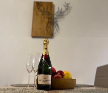 Demanovska Dolina Apartment | Apartmán PRI VLEKU LÚČKY