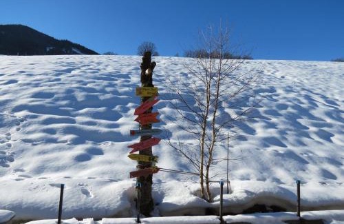 Maria Alm am Steinernen Meer Apartment | Apartment directly in the Hochkoenig ski area