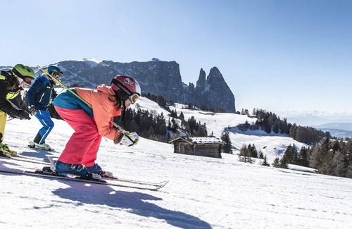 Siusi Apartment | Apartment "Mysciliar Sky II" with Mountain View, Wi-Fi, Garden, Terrace & Balcony; Pet-Friendly