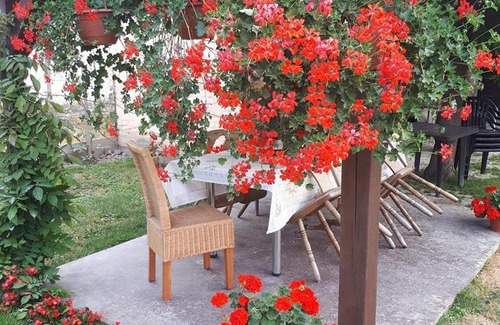 Draz House | Apartman Kalinka