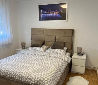 Osijek Apartment | Apartman Luans