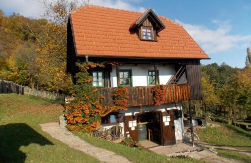 Klake Apartment | APARTMANI Etno kuća pod Okićem